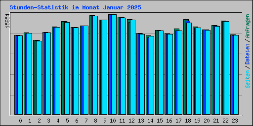 Stunden-Statistik im Monat Januar 2025