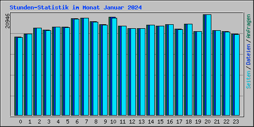 Stunden-Statistik im Monat Januar 2024